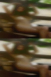 Horny girls rutting pillows